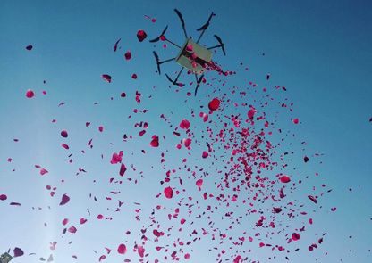 Sky Bliss Adventure